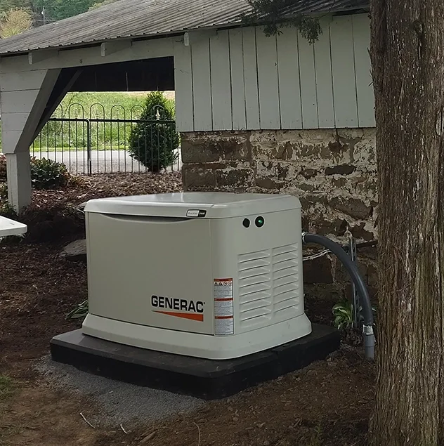 Generac generator install by tree